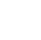 Image module
